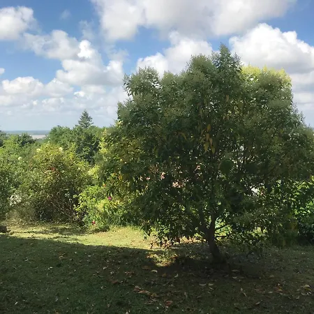 Apartment Avec Vue Panoramique Sur L'estuaire De La Gironde *