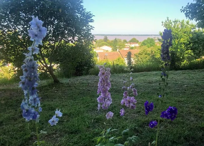 Avec Vue Panoramique Sur L'estuaire De La Gironde